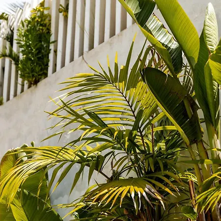 Jazmine I Nueva Andalucia Luxury Oasis Βίλα Μαρμπέλλα